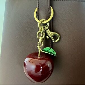 Apple Charm Keychain Bag Pendant in Deep Red with Green Leaf